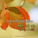 건강이야기 이미지