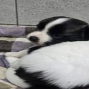 신림카정비공업사 이미지