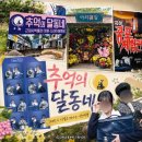소망애견 | [경주] 애견동반 가볼 만한 곳 @추억의달동네 교복 체험부터 포토존까지 총정리