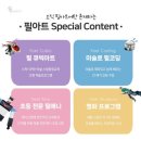 필아트 이미지