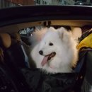 멍클레어 이미지