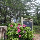 스텔라떡볶이제주 | 서귀포 숙소추천 성산일출봉 근처 가성비 감성숙소 플레이스캠프 제주 디럭스룸 2박후기 애견동반가능