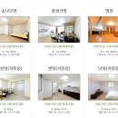 솔의향펜션 이미지