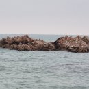 봉길대왕암(문무대왕릉) | 봉길대왕암해변에서 바라본 수중릉 경주문무대왕릉