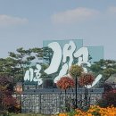 11월 포토&트래킹 시흥갯골공원 공지 이미지