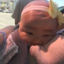 수민동물병원 이미지