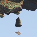 산골의하루 이미지