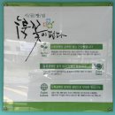 누룩꽃이 핀다 이미지