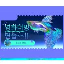 둔산초등학교 | &lt;Finding Nemo&gt; 영화 더빙 수업 &lt;더스마트 잉글리쉬_캐피타운 녹원센타&gt; 둔산초등학교영어