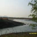 을숙도 철새공원 티스토리