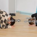 살롱,순간 이미지