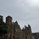 뉴시드니 노래연습장 | [시드니 7일차] 시드니대학교/ 뉴타운 거리 구경 /요치 Yo-Chi/시드니 씨푸드 마켓 피쉬앤칩스 후기