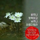 행복 이미지