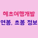 혜초여행개발