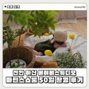 레몬트리 | 천안 아기 사진 스튜디오 마틴스쇼룸 아산 50일 촬영 추천 후기 feat. 레몬트리 컨셉