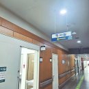 충청남도홍성의료원 | [31주2일] 홍성의료원 백일해 접종 후기 | 산모와 남편 모두 함께 접종 | 충남도민 임신부·배우자 무료...