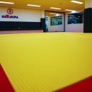 쿠사쿠라유도아카데미 이미지