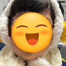 퍼피앤허니 이미지