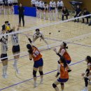 하이독스 이미지