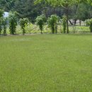 잔듸민박 이미지