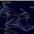 별자리 여행 - 페가수스 자리 은하수 속으로 뛰어드는 벨레로폰의 천마 이미지