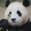 마이골프(MY GOLF) 이미지