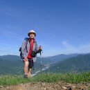 유정천리 이미지