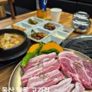 청솔초등학교 | 울산 달동 맛집 돈슬구마 저녁 모듬한판 흑돼지 꽃대패 후기