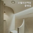 동물병원 오월의산책 네이버블로그