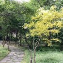 내수전통시장 이미지