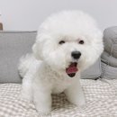 퓨어종합관리 이미지