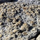 동거차도 구상 페페라이트 이미지