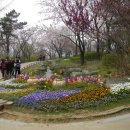 @ 서울 도심의 상큼한 뒷동산, 남산 1바퀴 거닐기 (남산야외식물원, 남산공원, 목멱산봉수대, 한양도성) 이미지