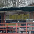 가을 숲으로 놀러가자 이미지