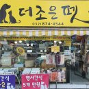 조은애견미용 이미지