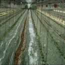 새로이농장 이미지