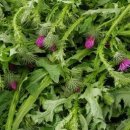 강하약국 이미지