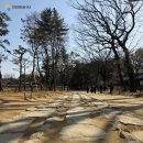 하늘종묘 | 종묘