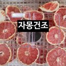 꽃차&약선차 | 영천 한방약선차, 꽃차 75일 복용 솔직 후기