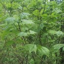 서들농장 이미지