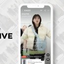 하고하우스