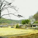 고향생각 이미지