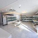 노이펫 강아지 고양이분양 춘천점 이미지