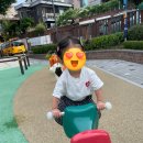 구립새하늘어린이집 | [❤ 서울 금천 구립 새롬어린이집] 0세 바깥놀이 산책하고 자연과 친구 되어 보아요