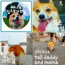 카페 써니힐 이미지