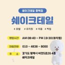 조이 애견 유치원 이미지