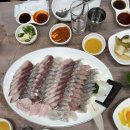 한진카페시스템 | [당진] 해뜨는집ㅣ한진포구 가성비 횟집ㅣ당진 횟집ㅣ내돈내산 솔직후기