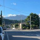 성광식당 이미지