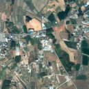 대국부동산중개사무소 이미지