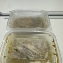 [배달 후기] 파스타라이크
